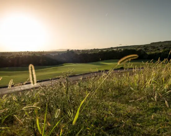 5 Übernachtungen im Iberostar Selection Llaut Palma mit Frühstück und 2 Greenfees pro Person (GC Son Termes & T-Golf Palma))