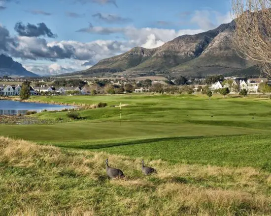 7 Übernachtungen mit Frühstück im Victoria and Alfred Hotel inkl. 3 Greenfees pro Person (2x Steenberg Golf Club und 1x De Zalze Golf Club)