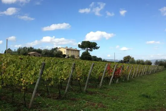 10 notti con prima colazione inclusa al Sina Brufani, 4 Green fee a persona (2x Perugia e 2x Antognolla) e un tour delle cantine con degustazione di vini e formaggi.