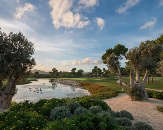 5 nuits à l'hôtel The Sky avec petit déjeuner et 2 green fees par personne (GC Capdepera et Son Servera)