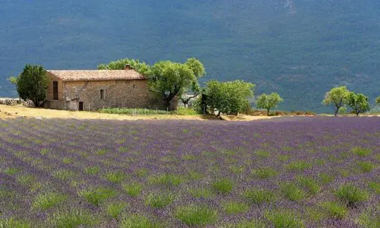 5 nuits à Lalpen Roc dans une suite avec petit-déjeuner et 3 green fees par personne (2x Chateau de Taulande Golf Club et 1x Terre Blanche Golf Club)