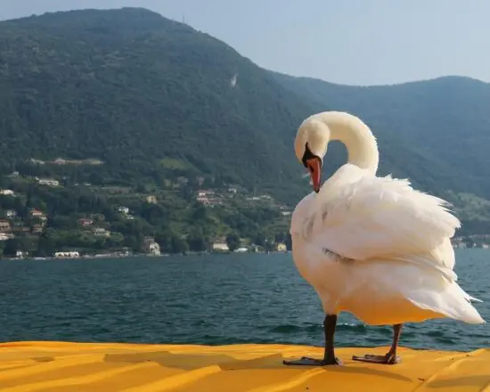 Lago d'Iseo